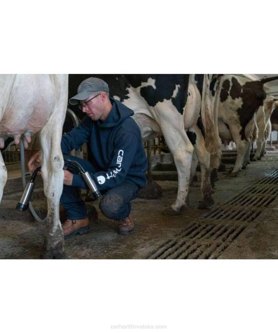 široka trenirka srednje težine s logotipom rukava muškarci Carhartt alpski plavi vrijesak 8PP438